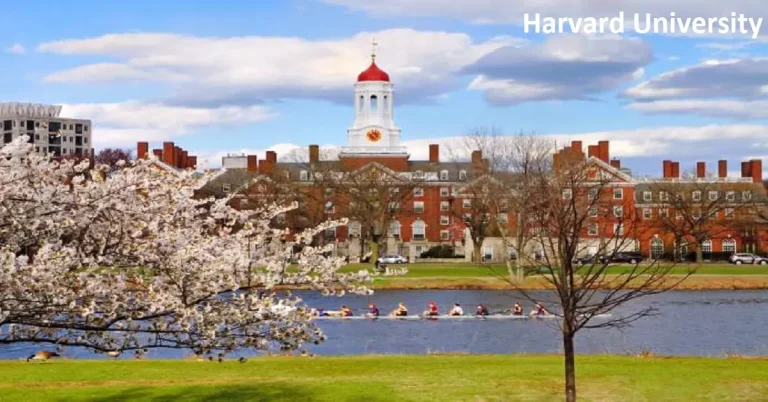 Harvard-University