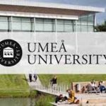 umea