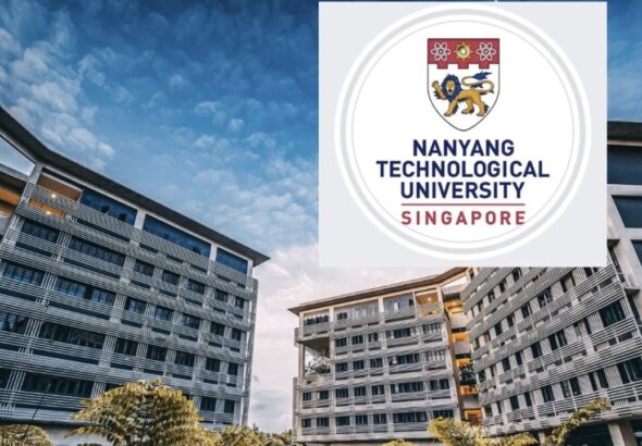 xr:d:DAFb8INsLAA:65,j:1606023929,t:23032711